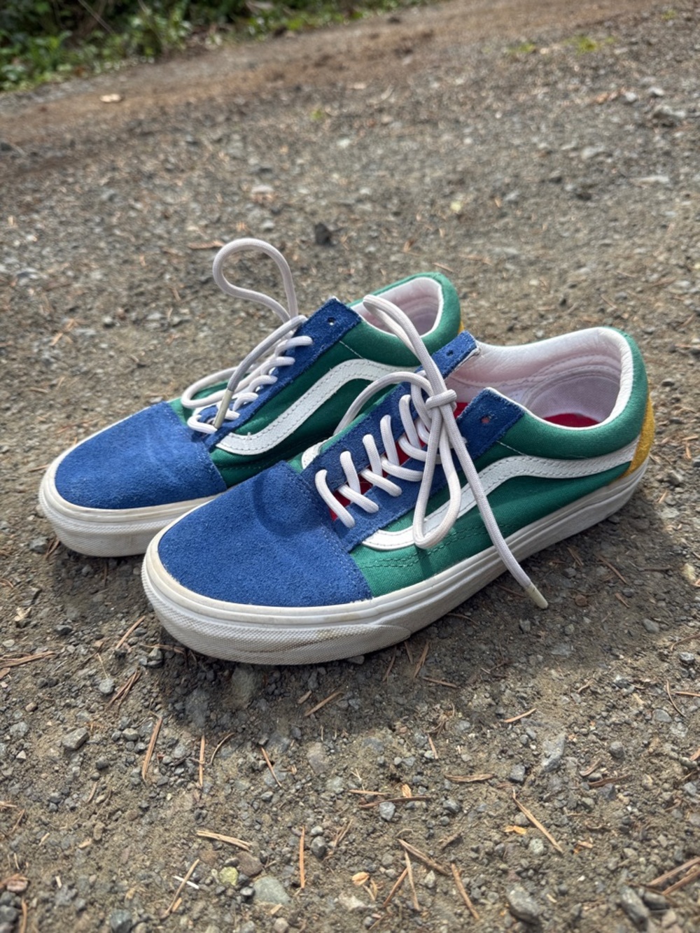 Vans Multicolor Low-Top Skate Shoes — Blue, Green & Red